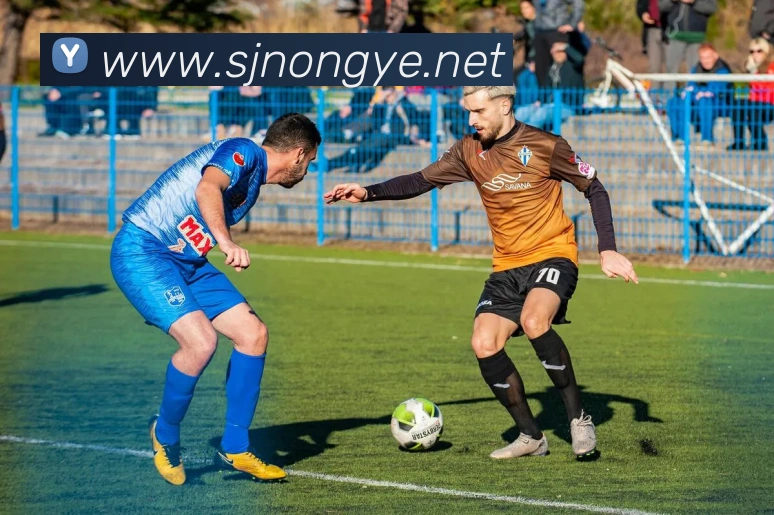 《九游》官方网站服务体系